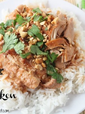 Slow Cooker Thai Chicken