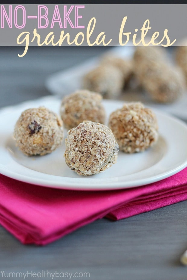 No-Bake Granola Bites