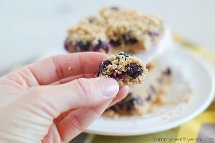 Skinny Blueberry Crumble Bars - a light crust, a layer of blueberries and a crumble topping. So delicious!
