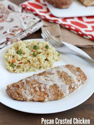 Pecan crusted chicken breasts cooked in a skillet, then topped with an apple cream sauce. Unique, unbelievably delicious & so easy!