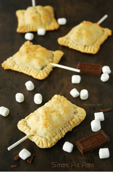 S'more Pie Pops by TheGunnySack.com - I'm not sure who would like these more - my kiddos or myself!