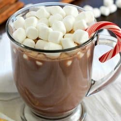 Ever crave a mug of homemade hot chocolate but don't want to make a whole batch? Check out this Hot Chocolate for ONE! Only 4 easy ingredients to a fabulous mug of hot chocolate!