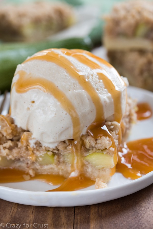 Get your zucchini ready! You are sure to find something creative and delicious to make in this round up of 25+ Zucchini Recipes!