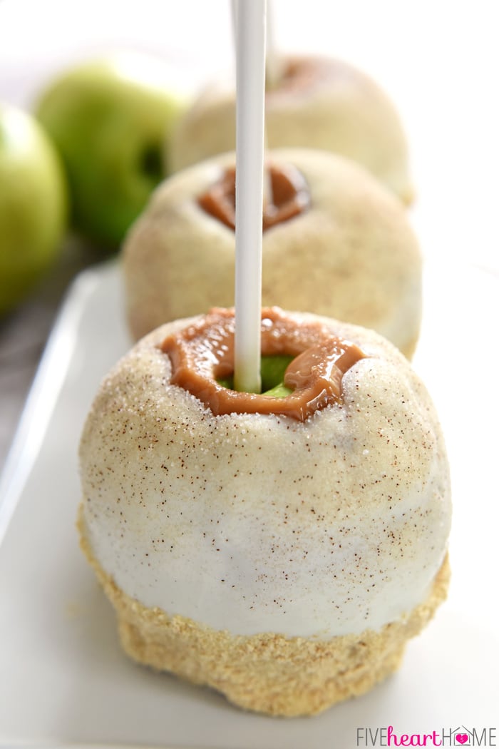 Enjoy apple season with these 30 Sweet & Savory Fall Apple Recipes!